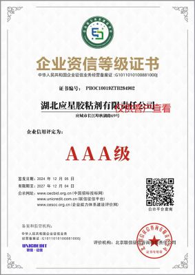 企業(yè)資信等級證書